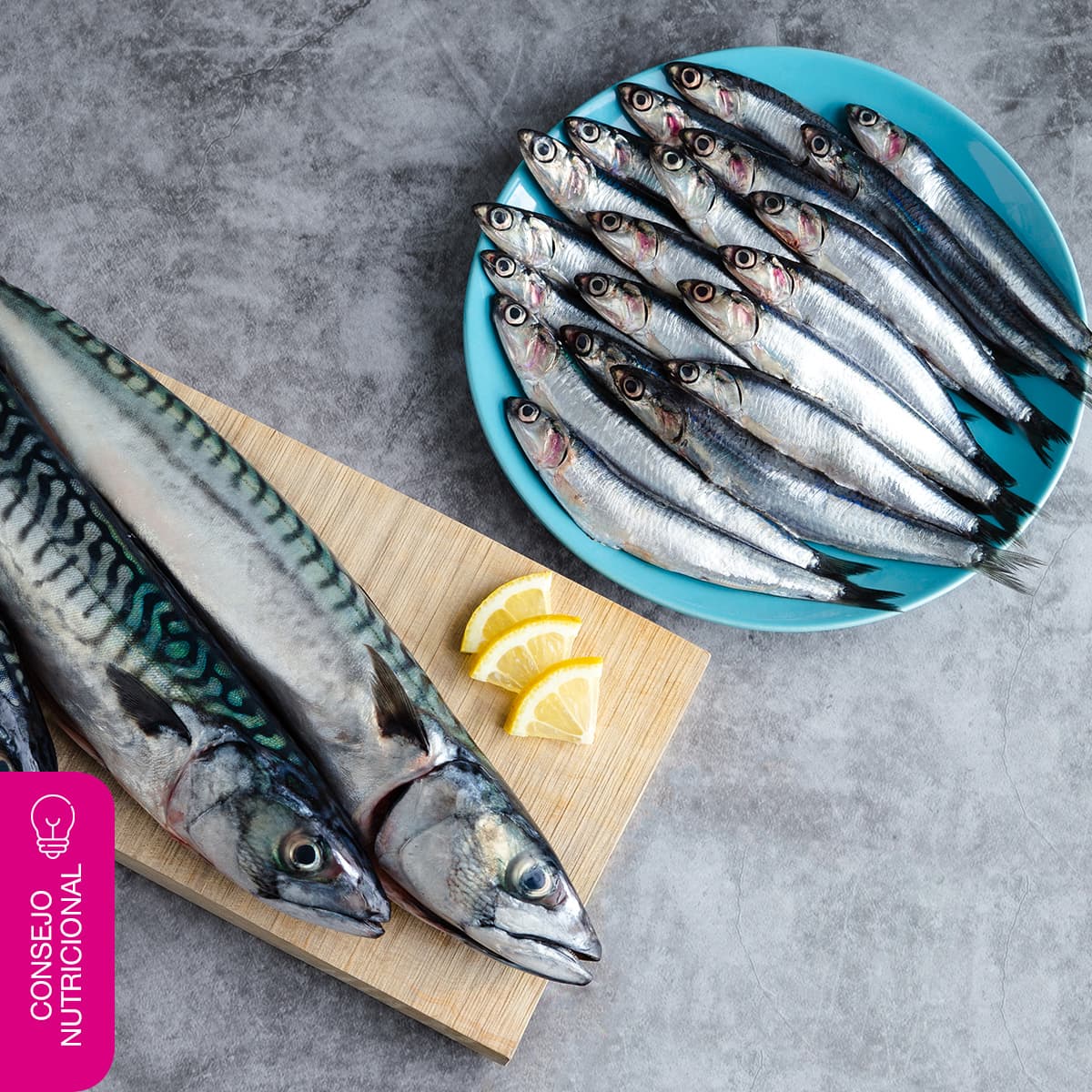¿Por qué comer pescado azul?