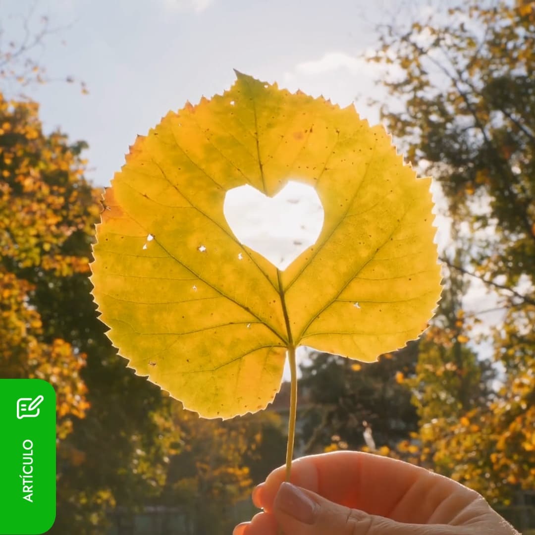 Así es como nos afecta a todos el cambio de estación