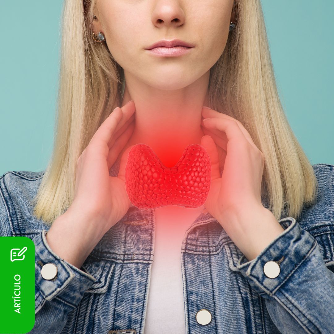 Te presentamos la tiroides: responsable de producir las hormonas que controlan nuestro cuerpo