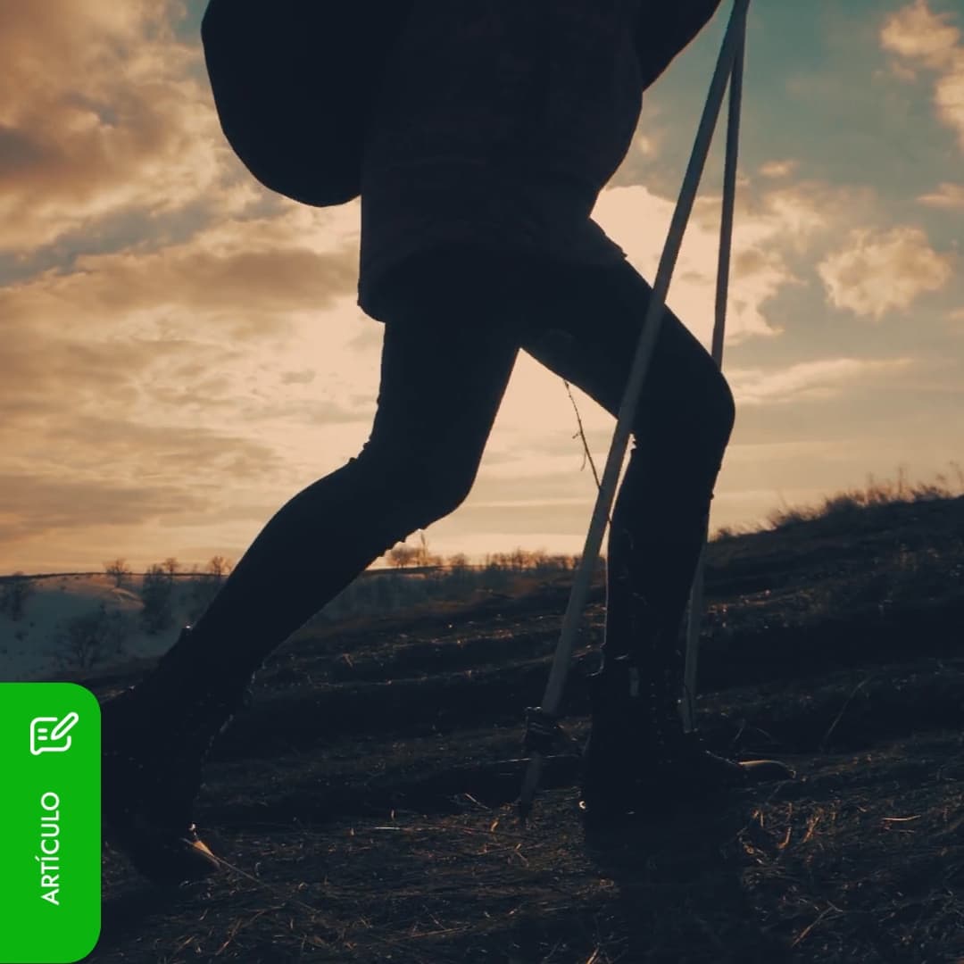 Nordic Walking, trekking, plogging... Deportes al aire libre para todos