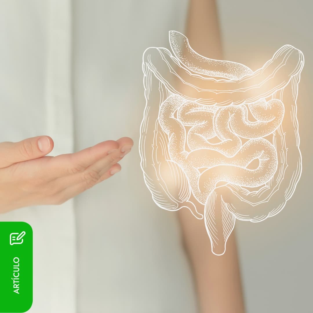 Disbiosis intestinal: descubre la causa de tu inflamación