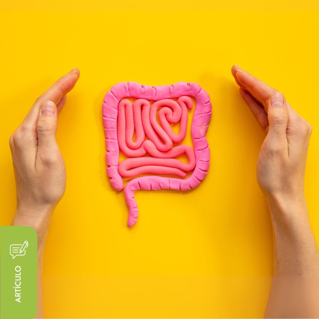 Imagen representativa de la relación entre la microbiota intestinal y el sistema inmunológico para mejorar la salud general.