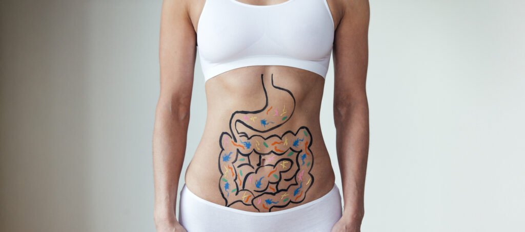 absorción de nutrientes, salud digestiva, absorción intestinal