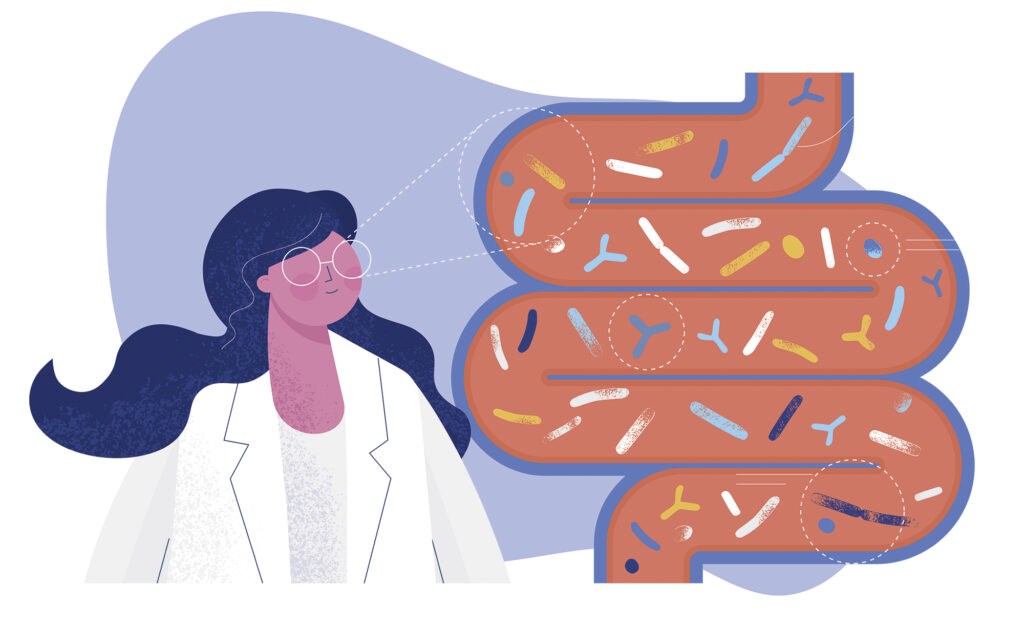 Absorción digestiva, buena absorción intestinal, microbiota intestinal, bacterias intestino, salud microbiota